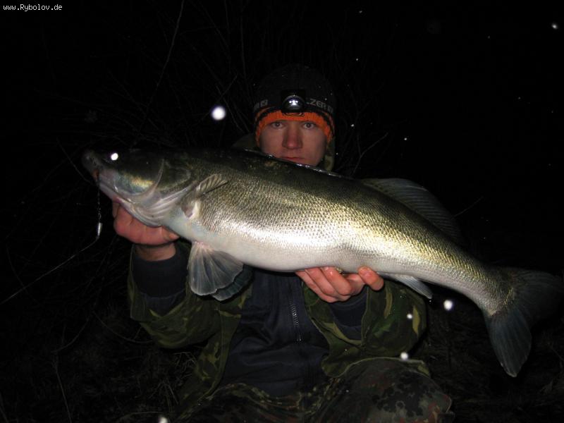 --Zander 2009 - рыбалка (фотоальбом)