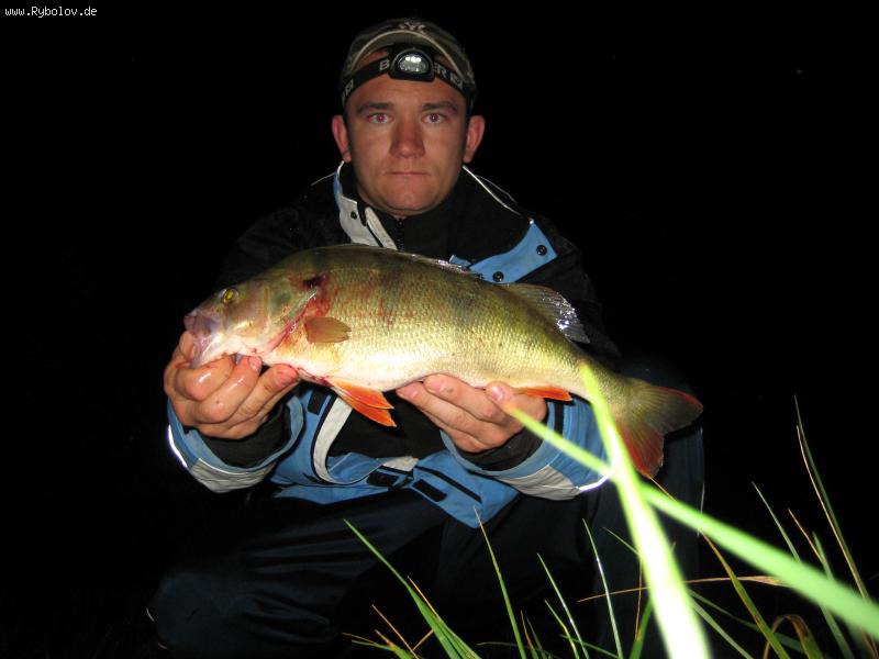 --Barsch - ������� (����������)