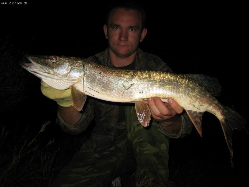 --Hecht - ������� (����������)