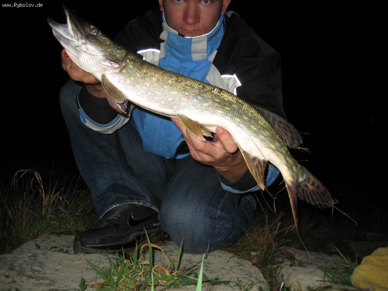 --Hecht - ������� (����������)