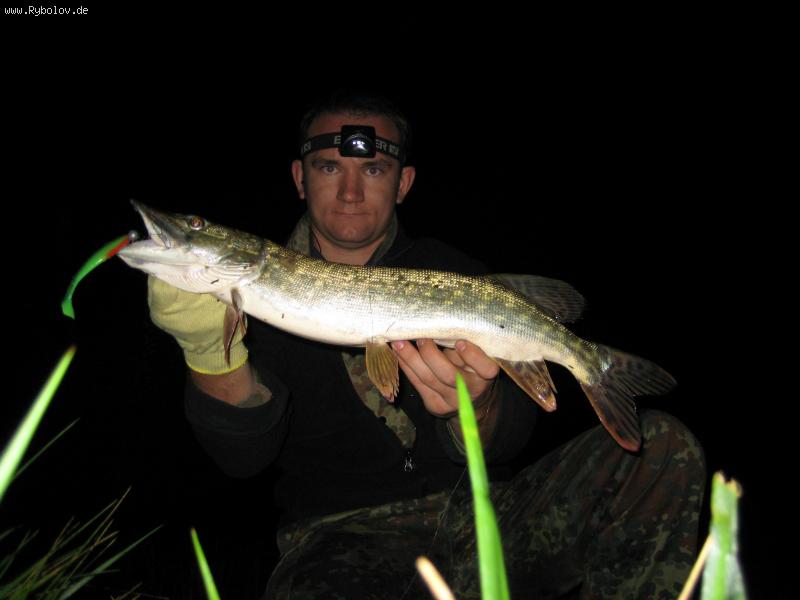 --Hecht - ������� (����������)