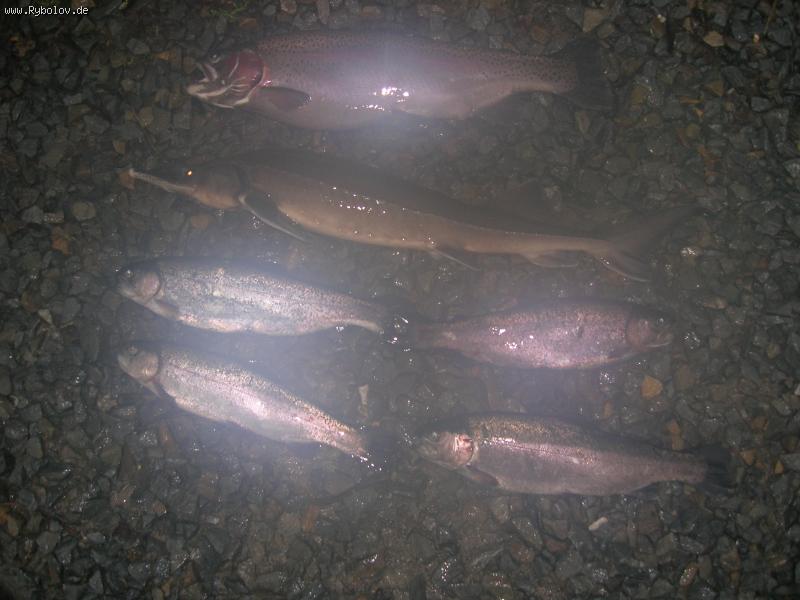 --��� ������  �� ��������  22.02.09 - ������� (����������)