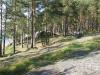 карелия - рыбалка (фотоальбом)