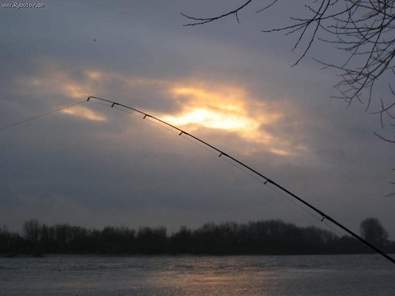 --����������� ���� - ������� (����������)