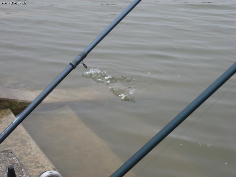 --������� - ������� (����������)