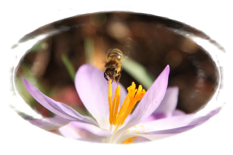 --� ���������� !!! - ������� (����������)