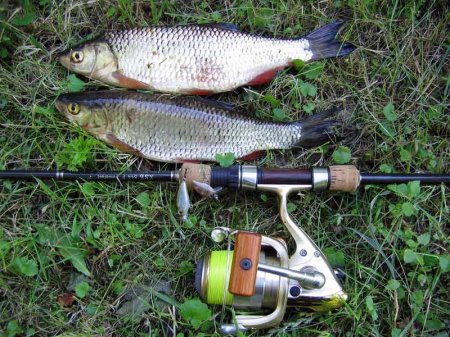 --���������� - ������� (����������)