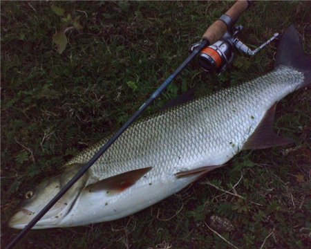 --���������� - ������� (����������)