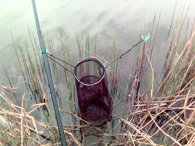 --���������� - ������� (����������)