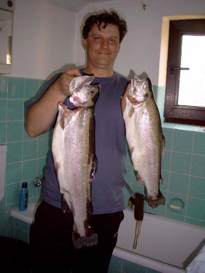 --������ - ������� (����������)