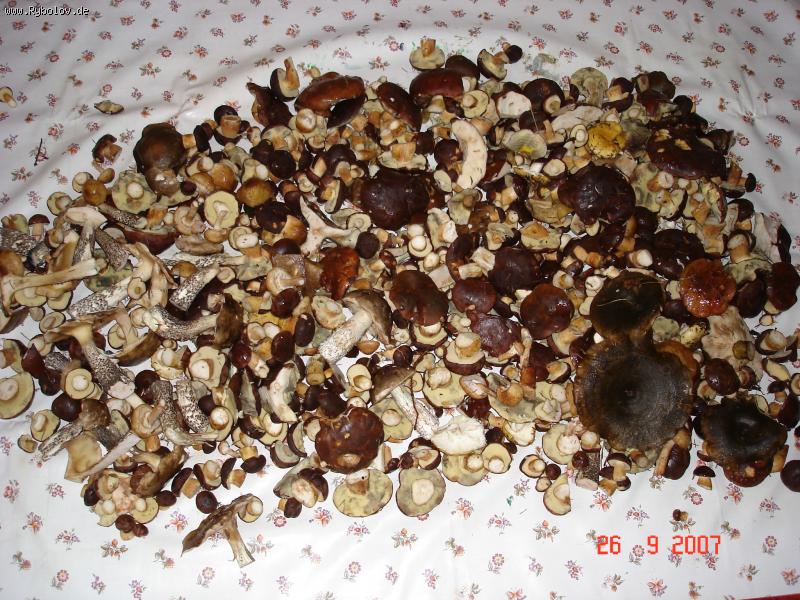 --�������� - ������� (����������)