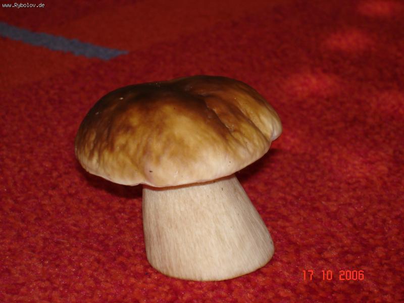 -- -  ()
