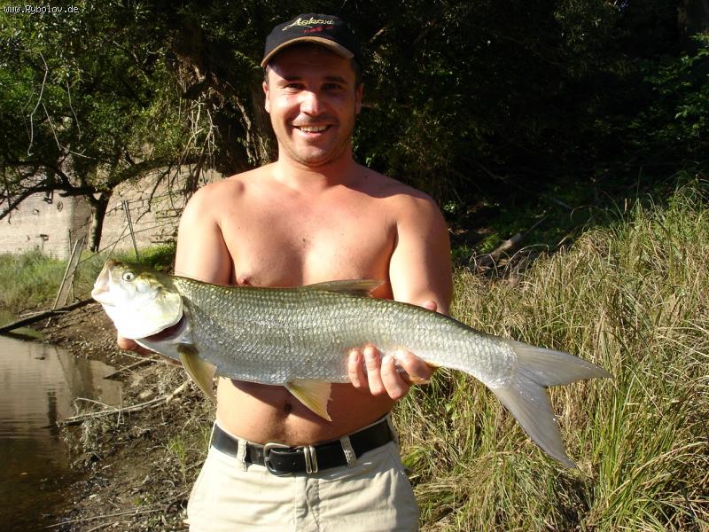 --Rapfen 2,2kg - ������� (����������)