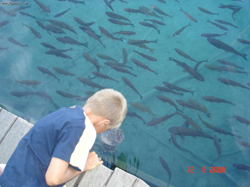 --����� - ������� (����������)