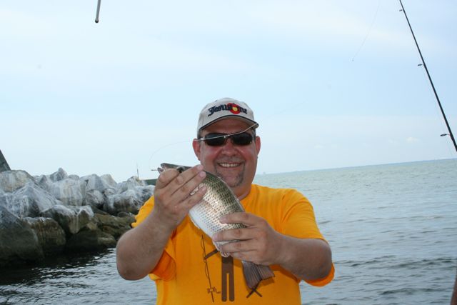 --������� �����, ������������ �����, ������� - ������� (����������)