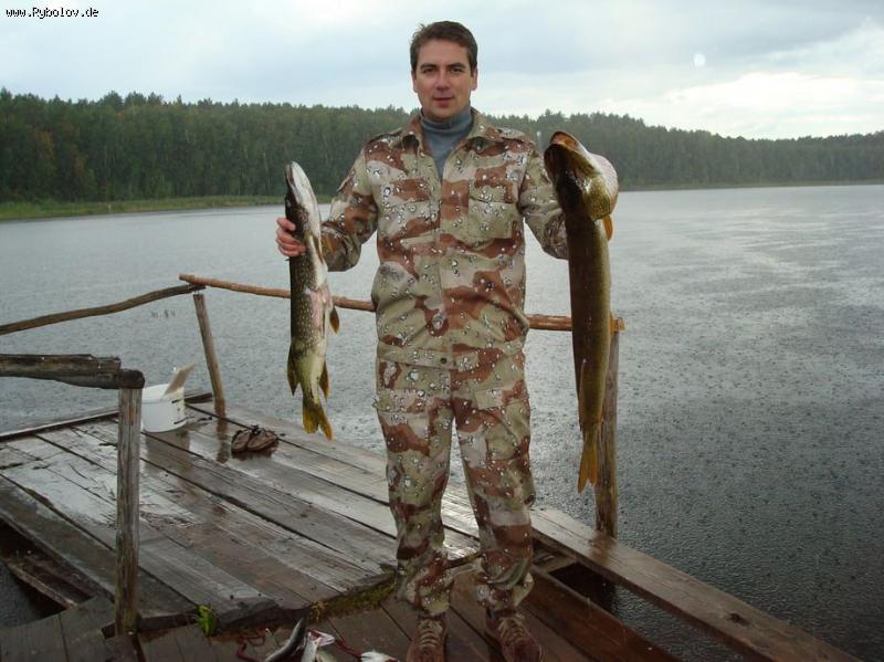 --���� - ������� (����������)