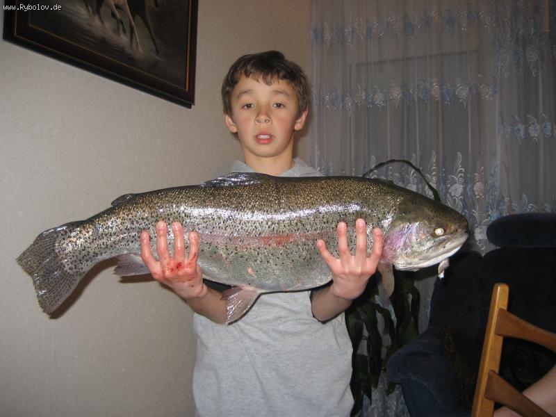 --������ ���� - ������� (����������)