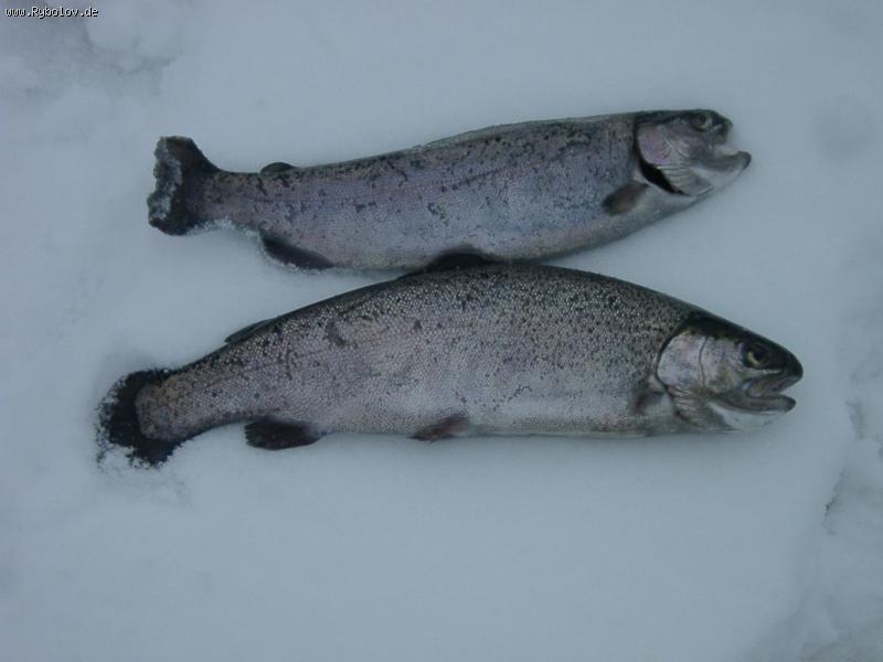 --������ ������ - ������� (����������)