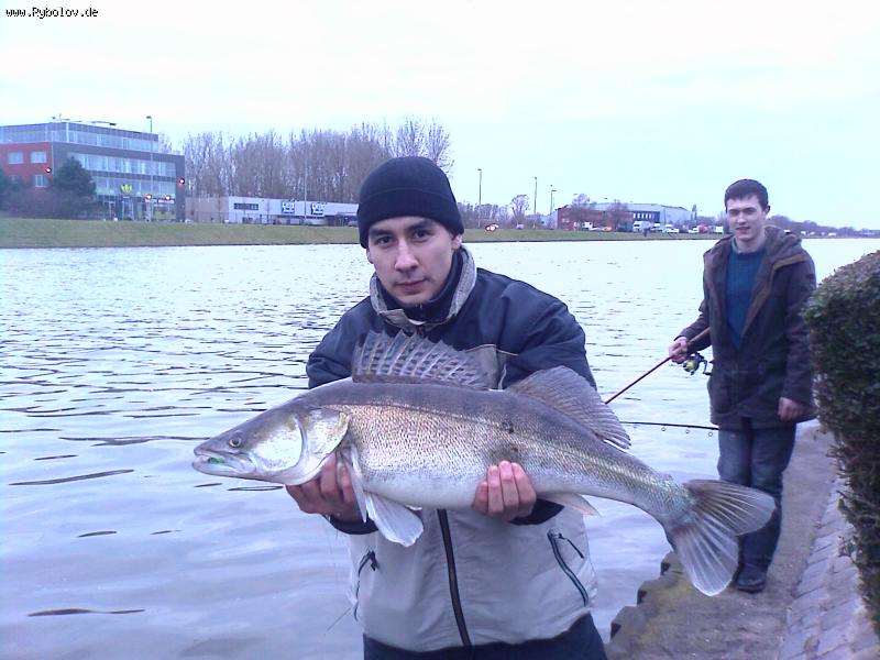 --����� �� ����. ������� - ������� (����������)