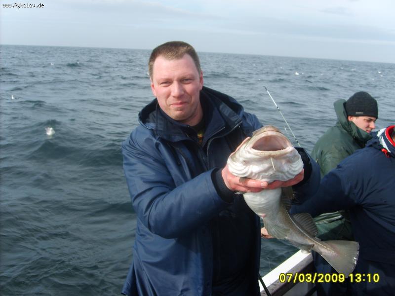 --nordsee -  ()