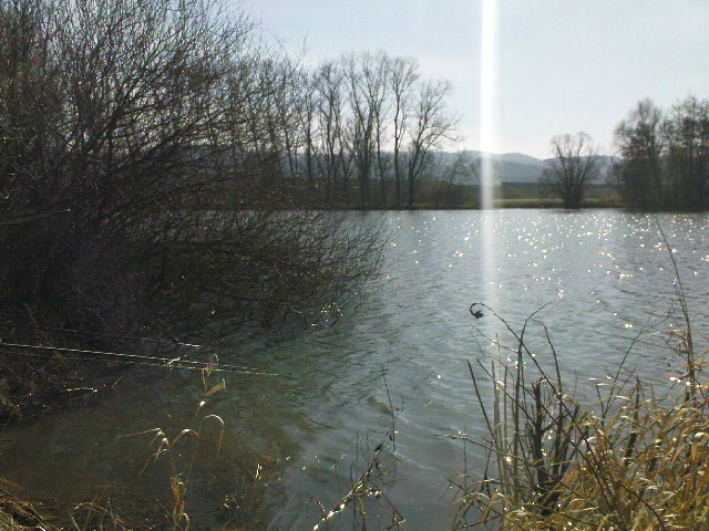 --������ ������� ���� �������. - ������� (����������)