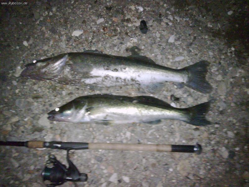 --������ ������ - ������� (����������)