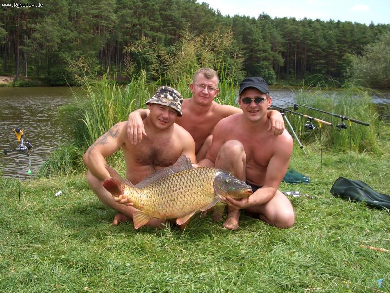 --14��. - ������� (����������)