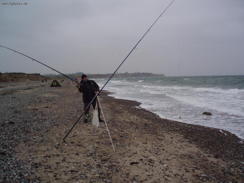 --Brandung ..... - ������� (����������)