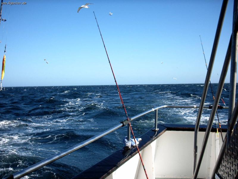 --Ostsee 18. 03. 2009. -  ()