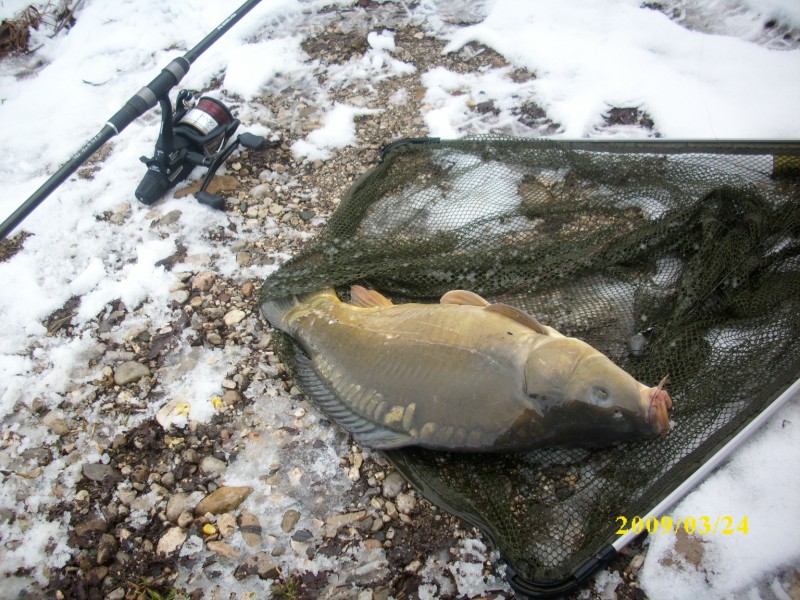 --autobansee-awstrija. - ������� (����������)