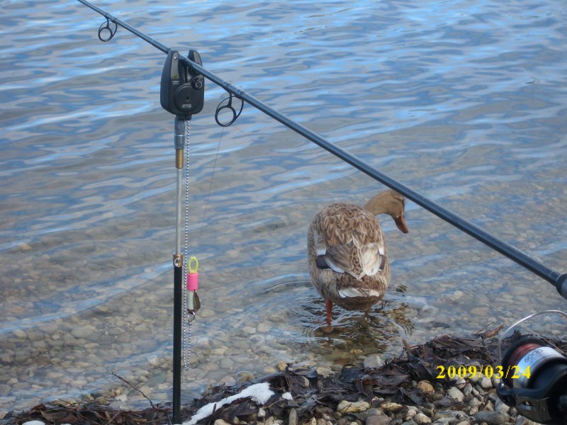 --rannie gosti. - ������� (����������)