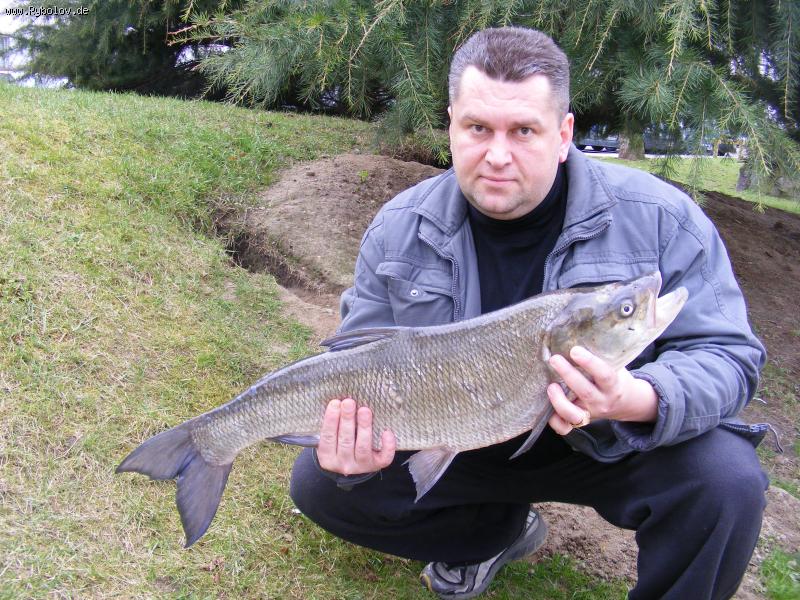 --����� - ������� (����������)