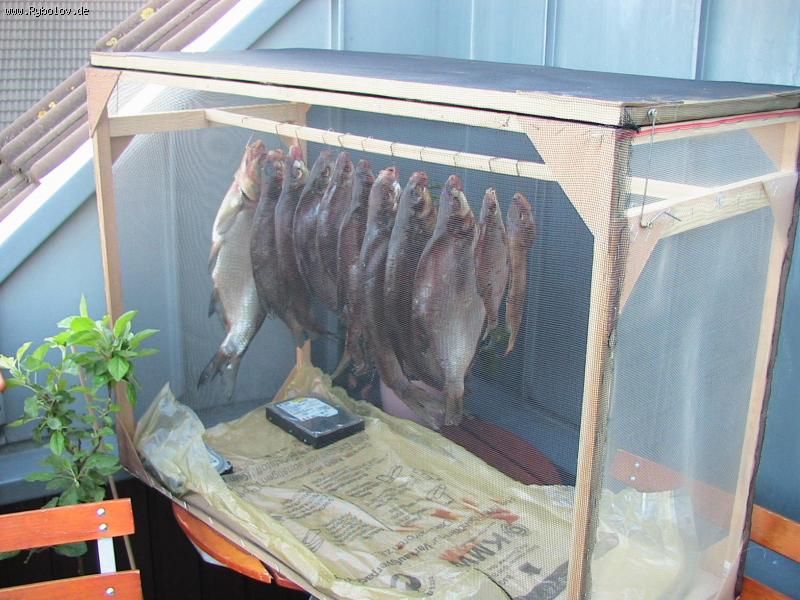 --��������� � ����! - ������� (����������)