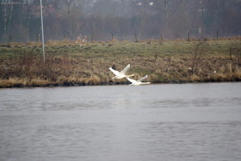 --������ - ������� (����������)