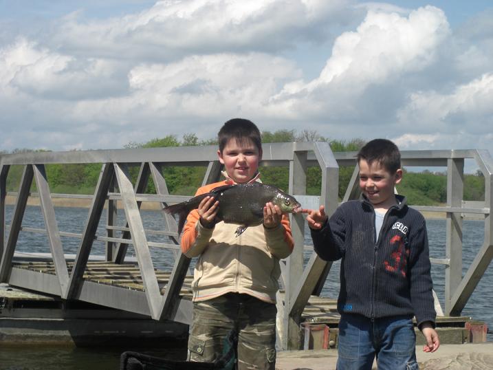 --Brasse - ������� (����������)