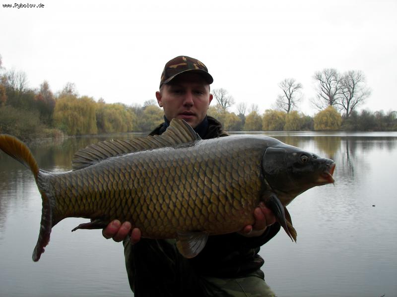 --Burgsee.Ende November. - ������� (����������)