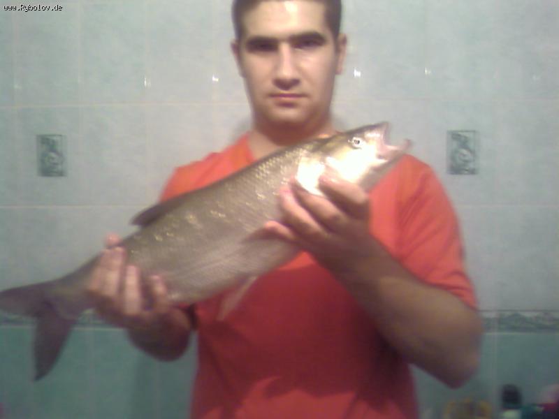 --������� - ������� (����������)