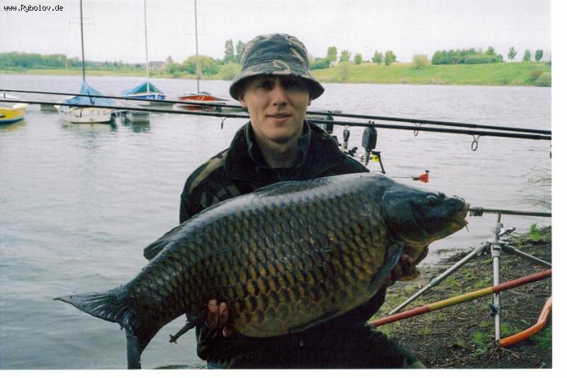 --��� ���� � �������, ������, �����������, ����������. �� � �����. - ������� (����������)