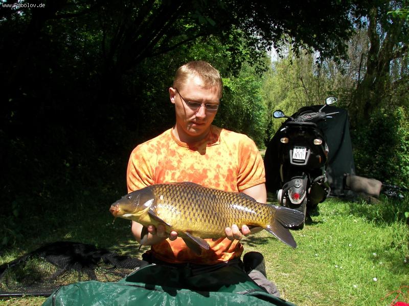 --5 kg -  ()