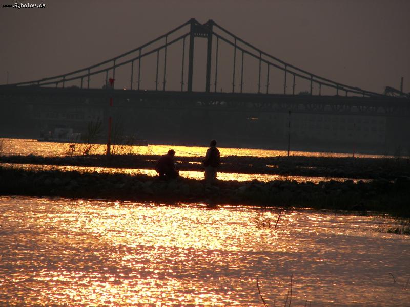 --Rhein. -  ()