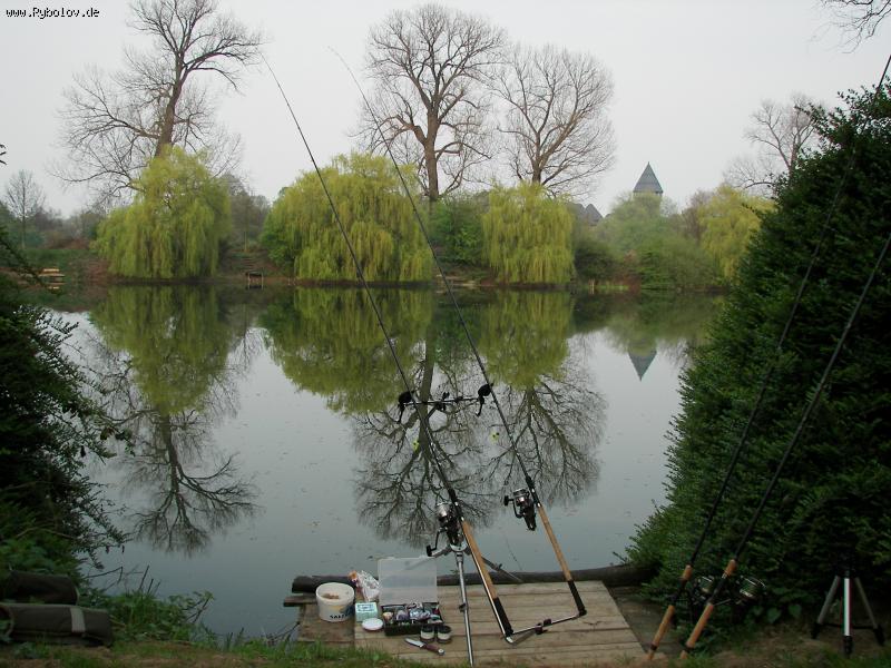 --Рыбалка на Feeder с карпятническими замашками. - рыбалка (фотоальбом)