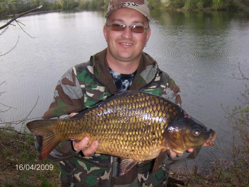 --���� ���� ������� - ������� (����������)