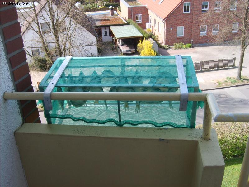 --������� ��� ����� - ������� (����������)