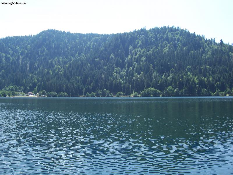 --��� �� �� �����. ���������! �� ���-��?! - ������� (����������)