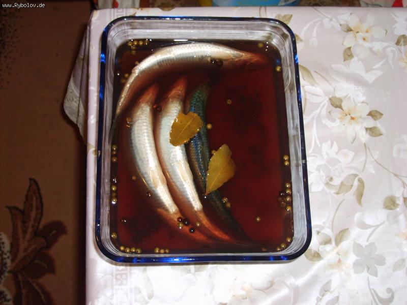 --������ - ������� (����������)