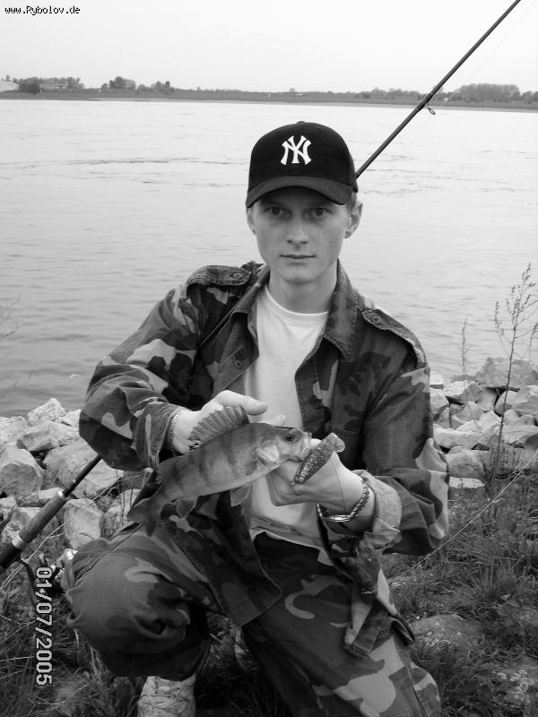 --�����! Rhein - ������� (����������)