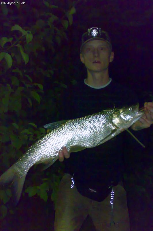 --�����! Kanal - ������� (����������)