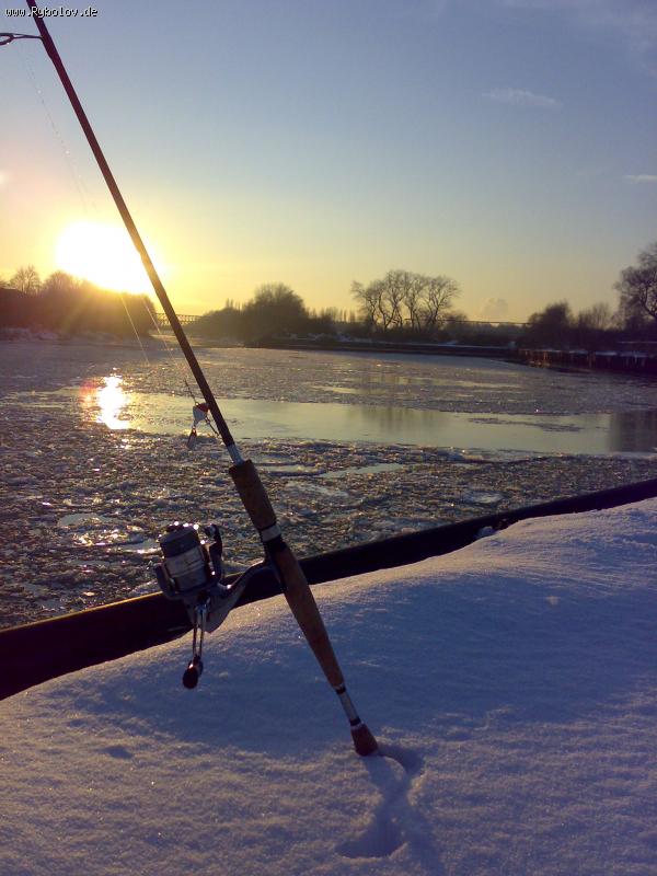 -- Kanal.Winter -  ()