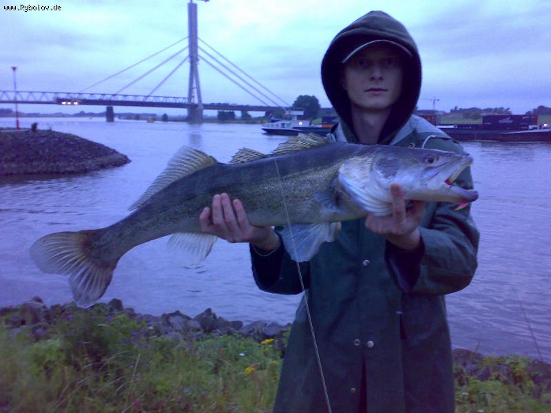 --�����! Rhein - ������� (����������)