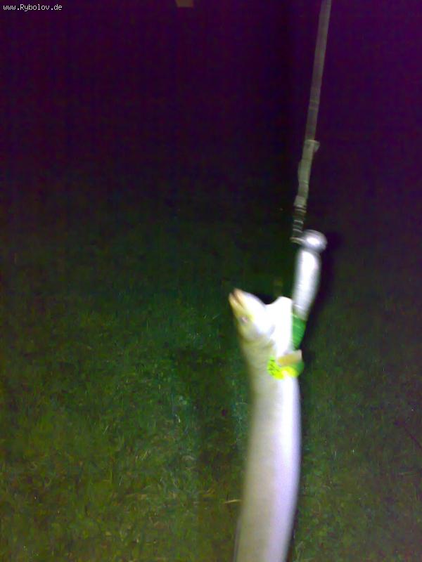 --Aal auf Twister gechakt - ������� (����������)